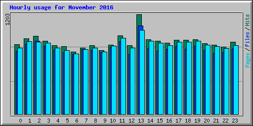 Hourly usage for November 2016