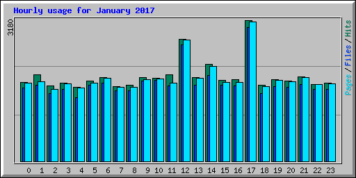 Hourly usage for January 2017